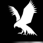 racing youth fc logo
